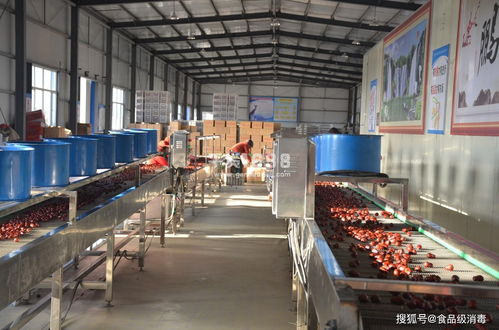 食品廠車間霉菌消毒 炒貨食品及堅(jiān)果制品霉菌超標(biāo)的關(guān)鍵解決路徑