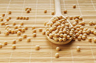 宜賓新聞網(wǎng)健康頻道 食品安全，從餐桌到人心